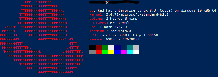 RHEL 8 + Windows 10 + WSL2 + neofetch