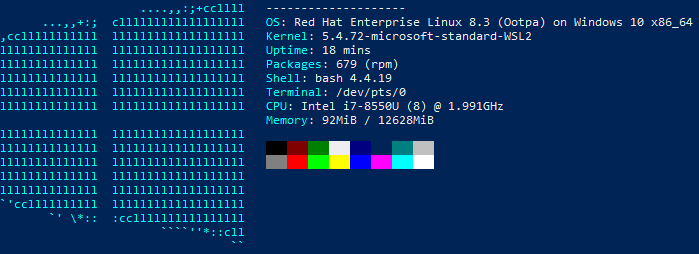 RHEL 8 + Windows 10 + WSL2